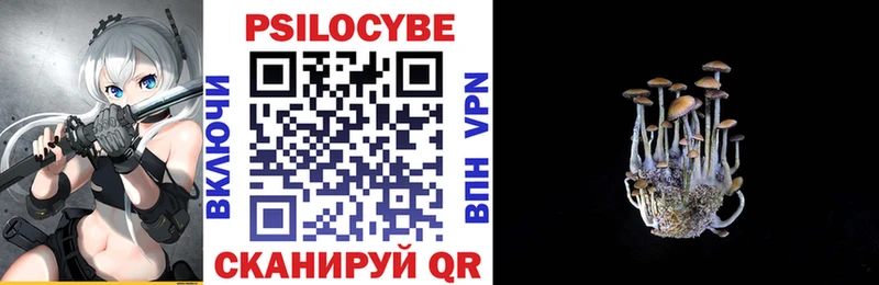 Галлюциногенные грибы Psilocybine cubensis  Купить где  Сертолово 